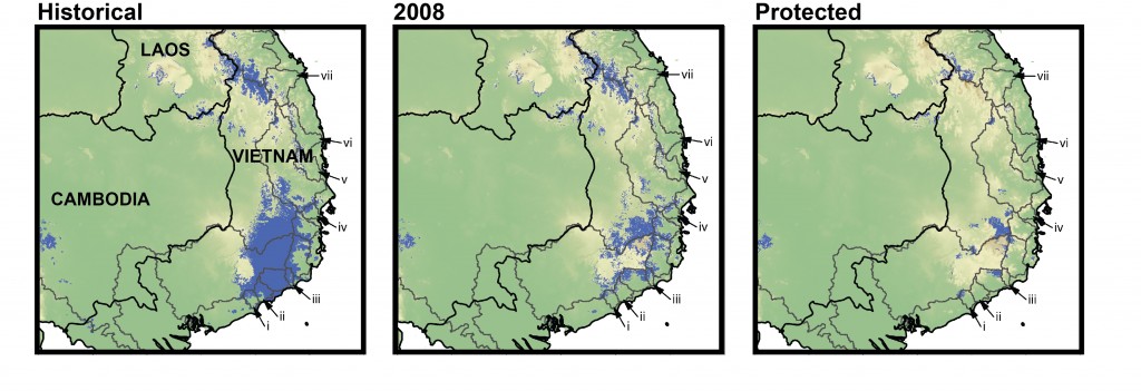 From left to right: Area (in blue) predicted to be climatically suitable for the L. applebyi group; Portion of the area predicted to be climatically suitable for the L. applebyi group covered by Broadleaf Evergreen Forest in 2008 (55.3%); Portion of area predicted to be climatically suitable for the L. applebyi group and covered by Broadleaf Evergreen Forest in 2008 and that currently falls within protected areas (29.3%). Modified from Rowley et al (2015).